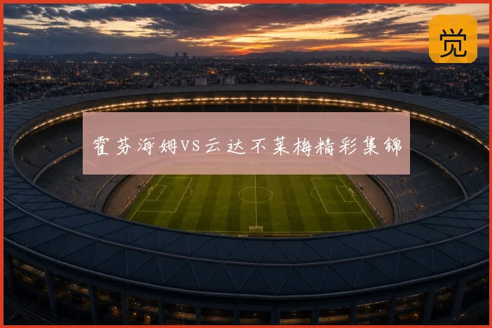 霍芬海姆vs云达不莱梅精彩集锦