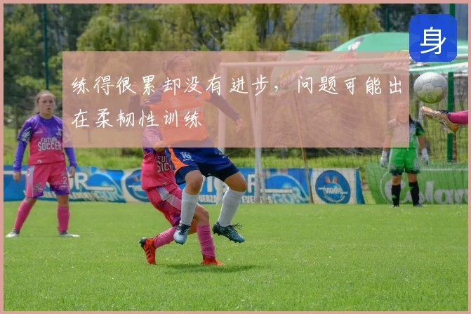 练得很累却没有进步，问题可能出在柔韧性训练